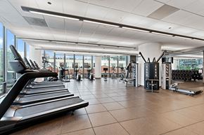 Chicago apartment for rent - A gym with treadmills, weights, and other exercise equipment.