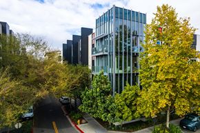 San Jose apartment for rent - A tree with yellow leaves is in front of a building.