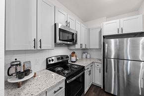 Fort Worth apartment for rent - kitchen