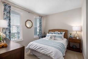 Mt. Pleasant apartment for rent - A bedroom with a bed, nightstand, and window with curtains.
