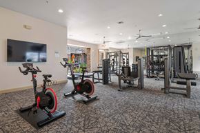 Peoria apartment for rent - A gym with a television, exercise bikes, and weightlifting equipment.