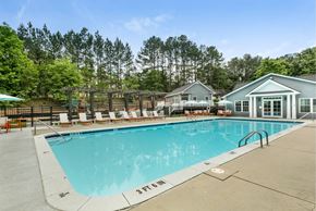 Sandy Springs apartment for rent - Pool next to line of tall trees at Aqua Sandy Springs apartments for rent in Sandy Springs, GA.