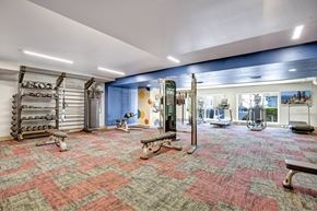Seattle apartment for rent - A gym with a variety of equipment including weights and benches.