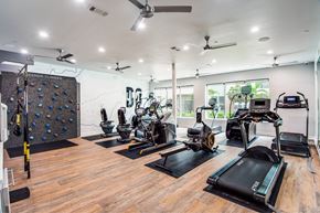 Houston apartment for rent - A gym with a variety of equipment including treadmills, weights, and exercise machines.