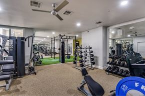 Houston apartment for rent - A well-equipped gym with a variety of exercise machines and weights.