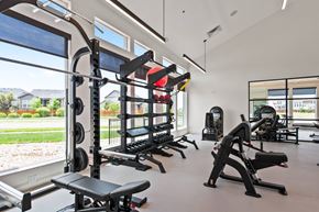 Aurora apartment for rent - A gym with a variety of equipment including a squat rack, bench, and weights.