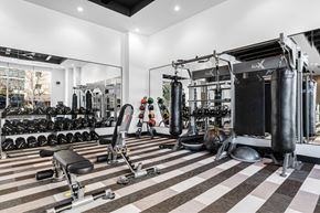 Richardson apartment for rent - A gym with a variety of equipment including weights and a punching bag.