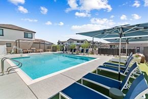 Queen Creek apartment for rent - A swimming pool with blue water and a white fence around it.