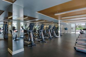 Marina Del Rey apartment for rent - A gym with treadmills and other cardio equipment.