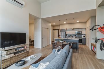 Eugene apartment for rent - A modern living room with a grey sofa and a television.