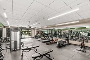 Eugene apartment for rent - A spacious gym with a variety of equipment including treadmills, weights, and exercise machines.