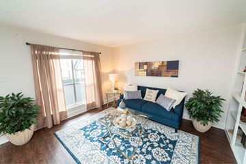 Houston apartment for rent - A living room with a blue couch and a large rug.