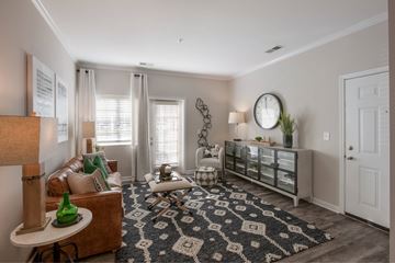 Fayetteville apartment for rent - A living room with a brown couch, a white chair, and a rug with a black and white pattern.
