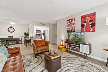 Fairfax apartment for rent - A living room with a brown leather couch and a flat screen TV mounted on the wall.