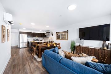 Rathdrum apartment for rent - A blue couch sits in a living room with a television on the wall.