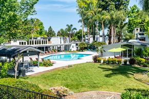 San Jose apartment for rent - A pool surrounded by a green lawn and trees.