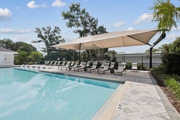 Land O'lakes apartment for rent - Altera Conner Park