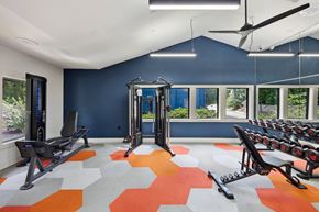 Sandy Springs apartment for rent - A gym with a variety of equipment including treadmills, weights, and a rowing machine.