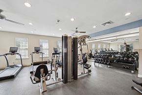 Patchogue apartment for rent - A spacious gym with treadmills, weight machines, and dumbbells.