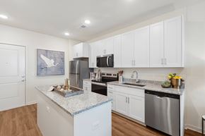 Land O'lakes apartment for rent - A kitchen with a granite counter top and stainless steel appliances.