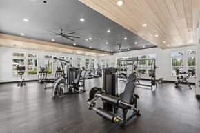 Lutz apartment for rent - A gym with a variety of equipment including treadmills, weights, and a ceiling fan.