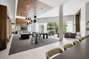 Rockville apartment for rent - A modern dining room with a long table and chairs.