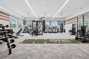 Columbia apartment for rent - A gym with a variety of equipment including weights and cardio machines.