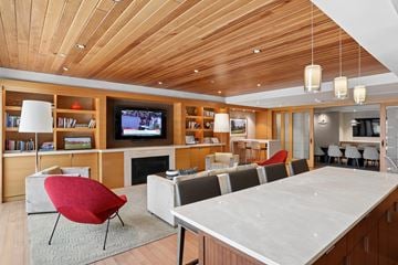Ardmore apartment for rent - A modern living room with a red chair and a wooden ceiling.