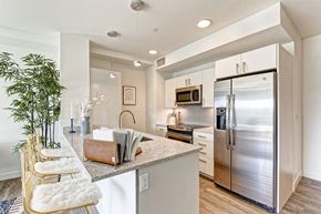 Stamford apartment for rent - kitchen with stainless steel appliances and sleek counters