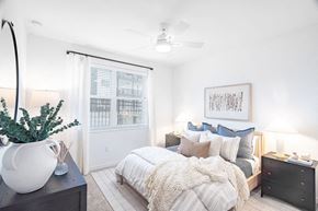 Georgetown apartment for rent - A bedroom with a bed, nightstand, and a plant on a table.