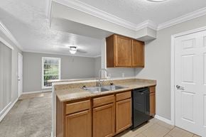 Oldsmar apartment for rent - A kitchen with wooden cabinets and a black dishwasher.