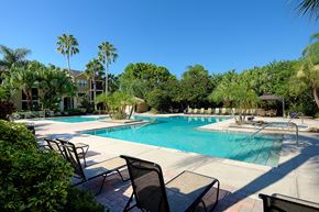 St. Petersburg apartment for rent - Pool at Mandalay on 4th Condominiums, St. Petersburg, FL, 33716