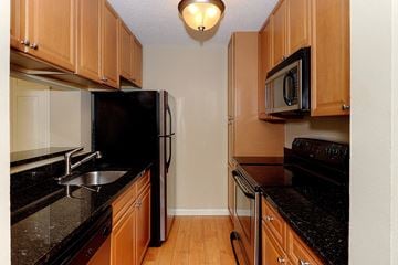 St. Petersburg apartment for rent - a kitchen with black counter tops and black appliances