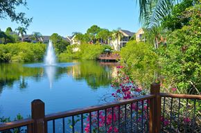 St. Petersburg apartment for rent - Waterside view at Mandalay on 4th Apartments, Florida, 33716