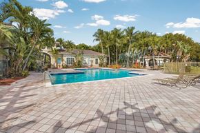 Miramar apartment for rent - A pool surrounded by a tiled patio and palm trees.