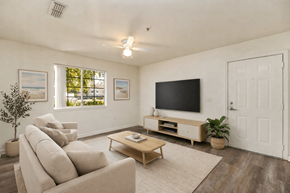 Pace apartment for rent - A living room with a large couch, a coffee table, and a flat screen TV.