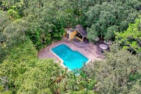 Oldsmar apartment for rent - an aerial view of a pool in the middle of trees