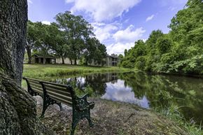 Pensacola apartment for rent - A bench sits next to a tree by a pond.