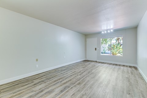 Floor plan for studio, 1 bath, 274 sqft