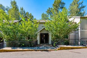 Seattle apartment for rent - exterior entrance to property surrounded by trees