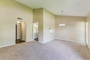 Tampa apartment for rent - Spacious room with carpeted floor at The Place at Davis Islands, Tampa, FL, 33606