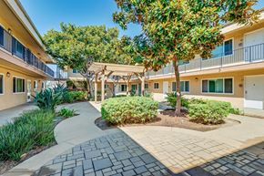 Chula Vista apartment for rent - A sunny day at a residential complex with a walkway and trees.