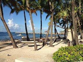 Key West apartment for rent - A beach scene with palm trees and a bench.