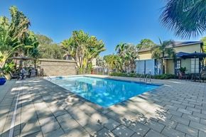 Tampa apartment for rent - A swimming pool surrounded by palm trees and a patio area. at Westminster Chase Apartments, Apartments, Tampa, FL