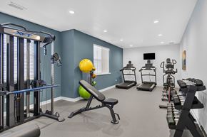 Traverse City apartment for rent - A well-equipped home gym with a variety of exercise machines.