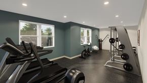 Traverse City apartment for rent - A gym with treadmills, weights, and exercise balls.