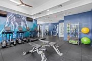 Boynton Beach apartment for rent - Machines and Equipment in Fitness Center at Verona at Boynton Beach Apartments in Boynton Beach, FL 33426