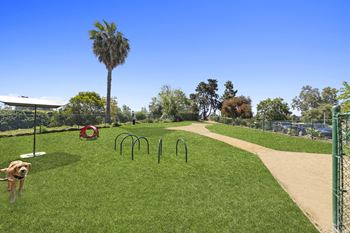 Dog park at veranda la mesa in la mesa, ca 91942