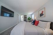 Randolph apartment for rent - Large Primary Bedroom at Rosemont Square Apartments in Randolph, MA 02368