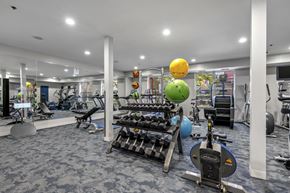 Lisle apartment for rent - 24-Hour Fitness Center at Avant at the Arboretum Apartments in Lisle, IL 60532